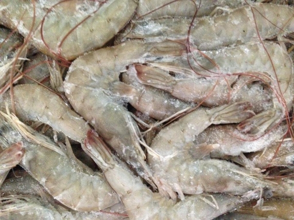 1638359054423181.jpg 冷凍水產(chǎn)品進(jìn)口清關(guān)資料簡介_進(jìn)口水產(chǎn)品標(biāo)簽問題_副本.jpg