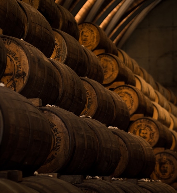 1642154218318209.jpg 智利葡萄酒進口清關(guān)代理_副本.jpg